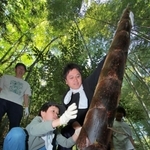 原料となる孟宗竹の「幼竹」を収穫する子どもら＝丹波篠山市真南条上