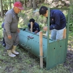 わなを設置する丹波市職員と猟師ら＝丹波市青垣町中佐治