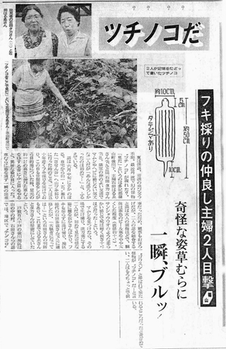 ダウンタウン　切り抜き新聞 D-24-5｜スモクローザー（防災機器）｜ニュースター（NEWSTAR