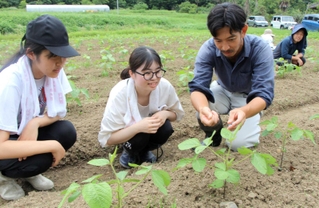 農家に教わりながら農作業を体験する大学生たち＝丹波市市島町喜多