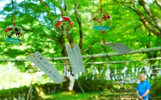 風に揺られ涼やかな音を響かせる風鈴＝丹波市青垣町桧倉