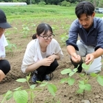 農家に教わりながら農作業を体験する大学生たち＝丹波市市島町喜多