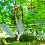 風に揺られ涼やかな音を響かせる風鈴＝丹波市青垣町桧倉