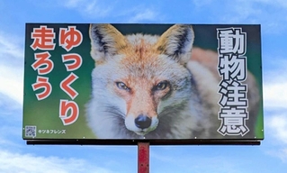 野ギツネ・コンの写真をあしらった、動物交通事故防止の看板＝丹波篠山市口阪本