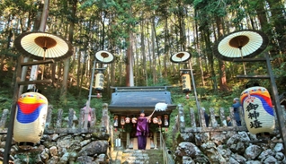 森に包まれた境内で執り行われた秋祭りの神事＝１１日午前９時２分、丹波篠山市石住、松尾神社