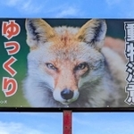 野ギツネ・コンの写真をあしらった、動物交通事故防止の看板＝丹波篠山市口阪本