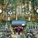 森に包まれた境内で執り行われた秋祭りの神事＝１１日午前９時２分、丹波篠山市石住、松尾神社