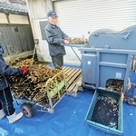 脱粒機で、さやから黒豆を取り出す生産者＝丹波篠山市真南条中