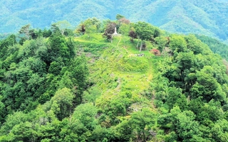 高城山の山上に残る八上城跡＝丹波篠山市提供