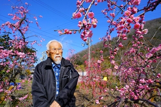 ＪＲ加古川線に乗って見に来てもらおうと植えた「しだれ梅」を見つめる荻野憲俊さん＝丹波市山南町池谷