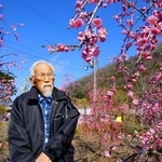 ＪＲ加古川線に乗って見に来てもらおうと植えた「しだれ梅」を見つめる荻野憲俊さん＝丹波市山南町池谷