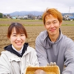 今年で栽培３年目。１個ずつ丁寧な作業で丸々と形の整った山の芋を生産している＝丹波篠山市般若寺