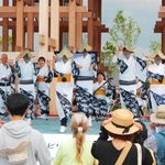 万博会場で生演奏と踊りを披露する「兵庫県丹波篠山デカンショ節保存会」＝大阪市此花区の夢洲