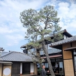 国登録文化財の住宅を改修し、オープンした宿「豆家」と小田垣商店の小田垣昇社長＝丹波篠山市立町