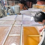 麦汁を発酵させるタンク＝丹波篠山市今田町本荘