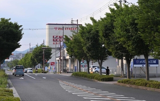 ＪＲ篠山口駅西側の国道１７６号＝丹波篠山市大沢