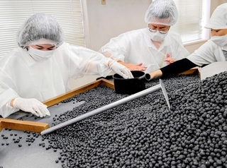 山のような黒豆。傷や割れのある豆を取り除く「手より」を体験する「ここっと兵庫」さん（左）ら＝丹波篠山市立町