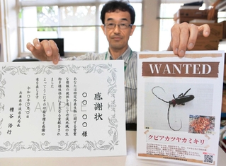 丹波地域で初確認が相次ぎ、情報を求めて作られたクビアカツヤカミキリの「手配書」＝丹波市柏原町柏原