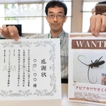 丹波地域で初確認が相次ぎ、情報を求めて作られたクビアカツヤカミキリの「手配書」＝丹波市柏原町柏原