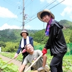 プロのアドバイスを受けながら土寄せを担う学生＝丹波篠山市後川地区