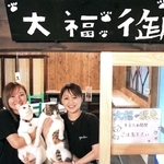 古民家カフェの一室を改装して新設された看板猫と触れ合える「大福御殿」＝丹波市青垣町東芦田