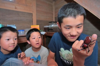 虫をはじめ生き物を幅広く愛する村井さん。自宅の蔵では数十匹のカブトムシを飼っている＝丹波篠山市藤之木