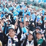 アルプス席で東洋大姫路ナインを応援する保護者ら＝西宮市の甲子園球場（撮影・辰巳直之）