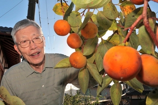 食品科学の研究に長年取り組む細谷圭助さん。地元では放置柿などの有効活用に貢献している＝丹波市柏原町南多田
