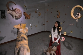 宙に浮かぶ犬や猫の木彫りと、はしもとみおさん＝植野記念美術館