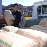 米の出荷作業を進める丹波わっしょい農園の中川清二さん＝丹波市春日町多利