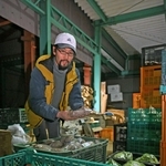 若手農家らが持ち寄った野菜に囲まれるおひさんファームの広澤正道さん。出荷に向け作業を進める＝丹波市市島町北奥