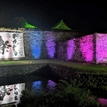 夜の篠山城跡彩るライトアップ　常設化へ　丹波篠山市、ふるさと納税で寄付金募る