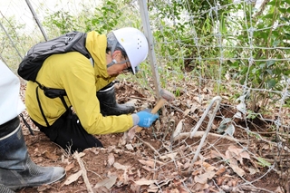 急な斜面に設置されている獣害防護柵。動物によって穴が開いた柵を修繕する参加者＝丹波篠山市奥畑
