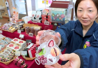 カプセルトイで手に入る小豆やあんこスイーツの魅力が詰まったチャーム＝氷上パーキングエリア