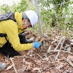 急な斜面に設置されている獣害防護柵。動物によって穴が開いた柵を修繕する参加者＝丹波篠山市奥畑