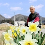 地域で丹精したスイセンを見てほほ笑む稲川茂樹会長＝丹波篠山市北沢田
