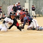 ＜神明あかふじ米　兵庫県ジュニア軟式野球＞丹波市大会開幕　7チームが熱戦、4日に決勝予定