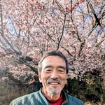 樹齢２００年はあるという古木「大石桜」の前に立つ吉良勉さん＝丹波篠山市古市