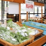 店内には有機栽培の新鮮な野菜が並ぶ＝丹波市市島町上垣