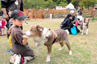 イベントでトリックに挑戦するボーダーコリーと家族ら＝グランドロックキャッスル