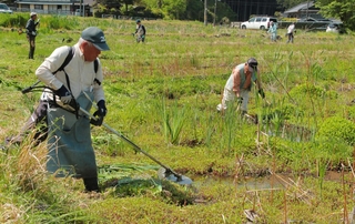 開園に向けて草を刈る有志たち。訪れる人のため、真夏の暑さの中でも作業を行う＝丹波市青垣町東芦田