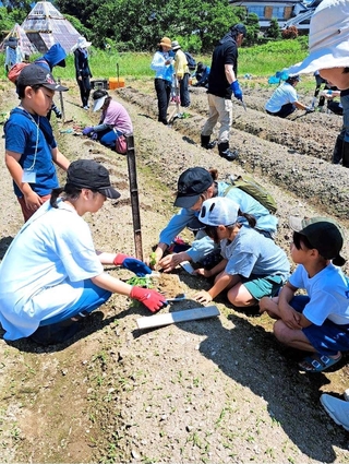 黒枝豆の植え付け会の様子＝２０２５年、丹波市内（ａｍ＊ａｍ提供）