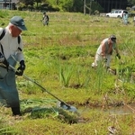 開園に向けて草を刈る有志たち。訪れる人のため、真夏の暑さの中でも作業を行う＝丹波市青垣町東芦田