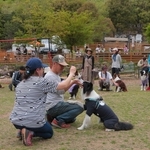 愛犬家らによる「オフ会」が開かれるなど、丹波から犬を通じた交流が広がりつつある＝グランドロックキャッスル