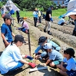 黒枝豆の植え付け会の様子＝２０２５年、丹波市内（ａｍ＊ａｍ提供）