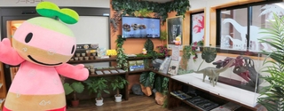 丹波竜の魅力を発信する特設コーナー＝道の駅「丹波おばあちゃんの里」
