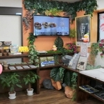 丹波竜の魅力を発信する特設コーナー＝道の駅「丹波おばあちゃんの里」