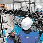 福井での展示に向けて解体される「丹波竜」の全身復元骨格