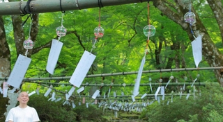 風に吹かれ涼やかな音を境内に響かせる風鈴＝高源寺