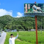 野生動物が関係する交通事故の防止を訴える看板と阪下伸二さん＝丹波篠山市西谷